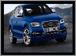 Audi SQ5, Samochód