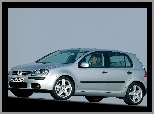 Volkswagen Golf 5, Srebrny